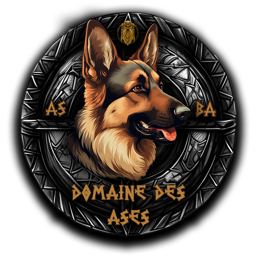 Logo Domaine des Ases